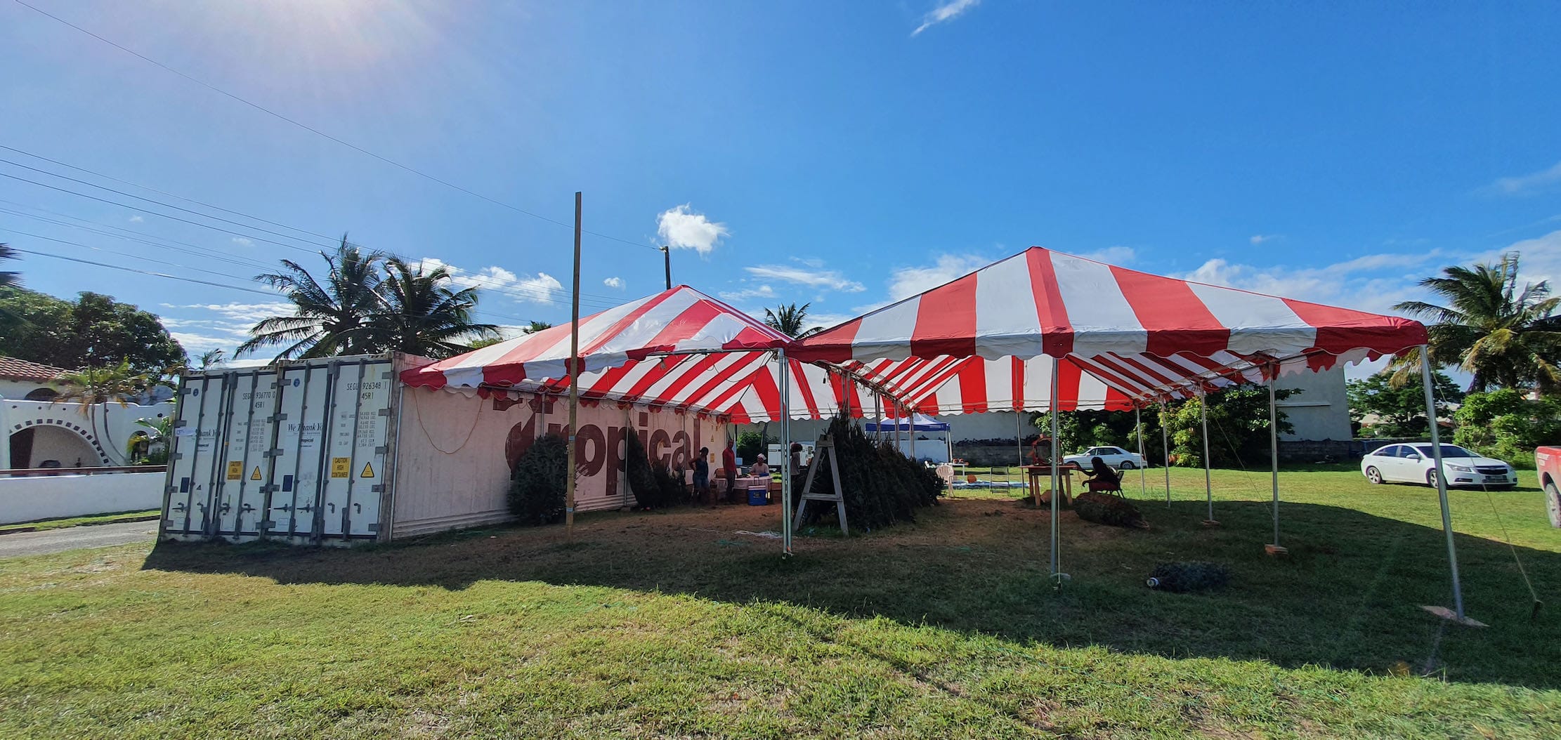 Weihnachten 2022 In Der Karibik Grüne Weihnachten in der Karibik