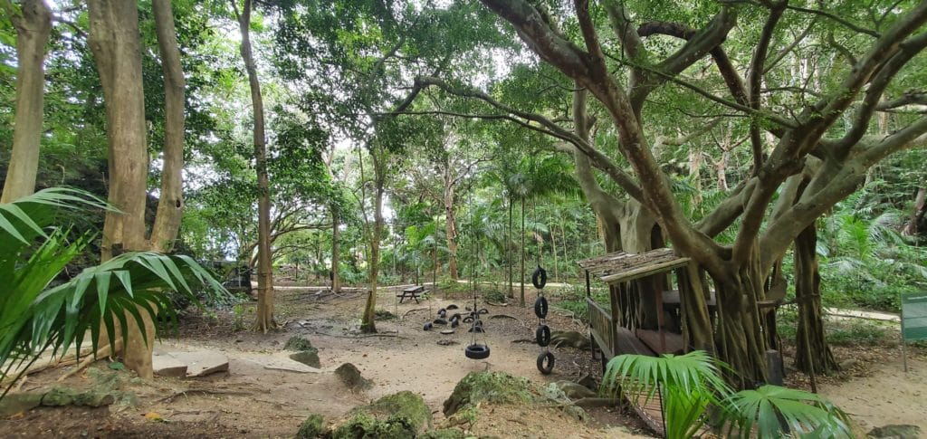 Welchman Hall Gully Botanische Gärten auf Barbados