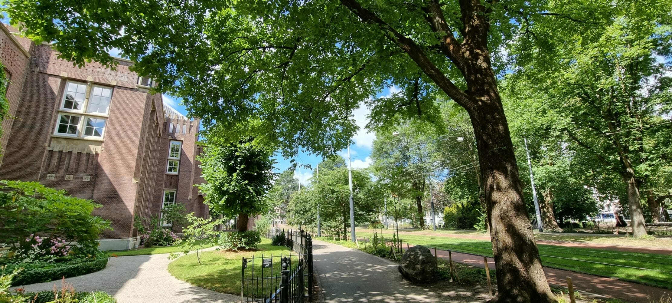 Hortus botanicus Leiden