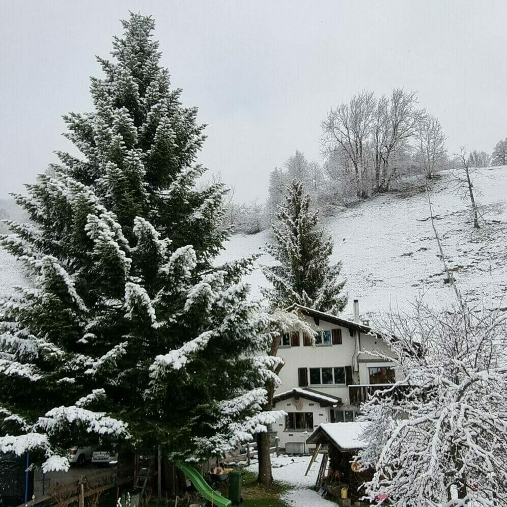 Highlights im Jahr 2022