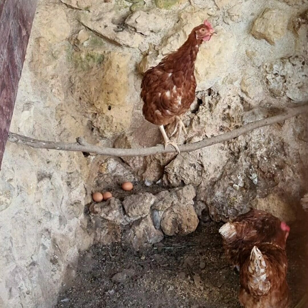 hightlights im jahr 2022