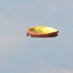 img-80
