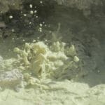 img-32