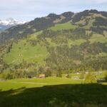 img-66