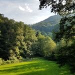 img-36