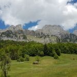 img-44