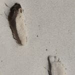 img-59