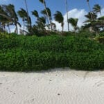 img-118