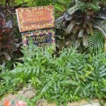 img-41