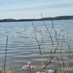 seen im saarland - bostalsee