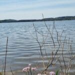 seen im saarland - bostalsee