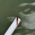 img-86