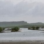 img-60