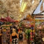 blumenmarkt in amsterdam