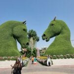 img-170
