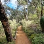 araluen botanic park