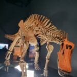 img-111