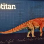 reisebericht australien