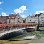 frankfurt mit familie