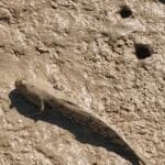 img-56