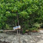 img-112