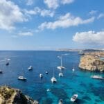 comino wildlife