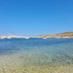 jahresrückblick 2024