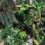 the green planet dubai