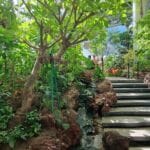 the ring shopping mall