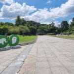 chongqing zoo familienausflug