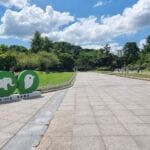 chongqing zoo familienausflug