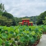 Chongqing Reisebericht