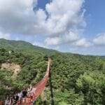 suspension bridge korea