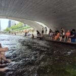img-146