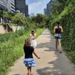 img-161