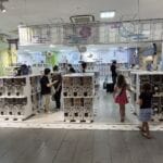 img-145