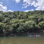 img-152