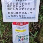 img-57