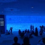 nagoya aquarium