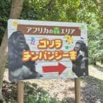 img-162