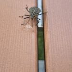 img-163
