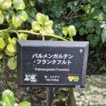 img-170