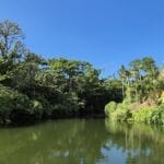 botanical garden japans paradies