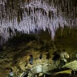 reisebericht okinawa world