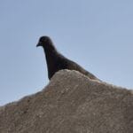 img-152