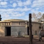 bioparco di roma zoo