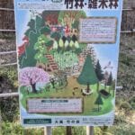 img-104