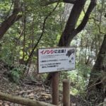 img-115