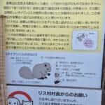 img-154