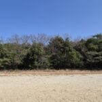 img-268